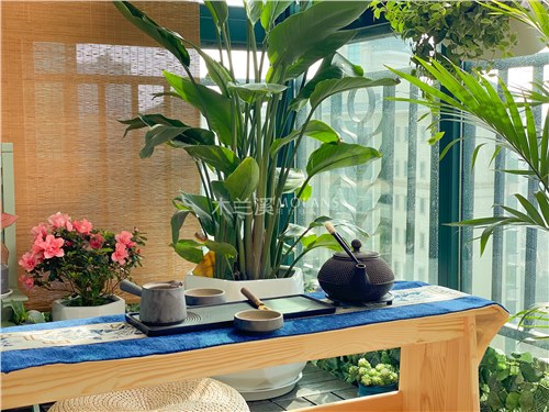 众多品牌已纷纷涌入 阳台定制或成家居行业新蓝海